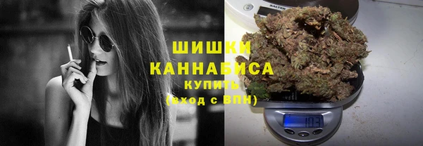 ALPHA PVP Куйбышев