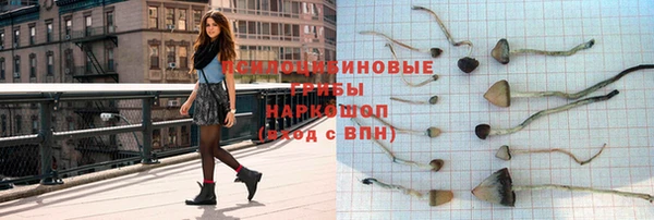 ALPHA PVP Куйбышев