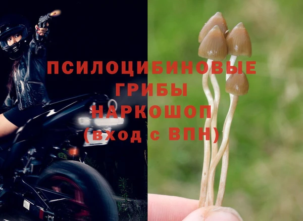 наркотики Архангельск
