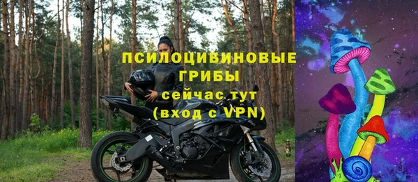 spice Кукмор