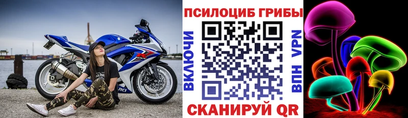 закладки  Ессентуки  Псилоцибиновые грибы мухоморы 