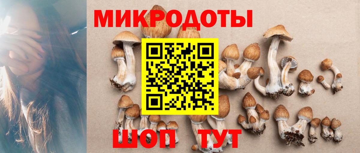 Галлюциногенные грибы мицелий  Вход с VPN  Ессентуки 